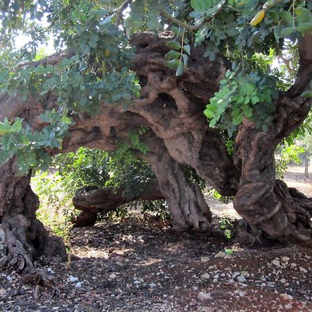 Masseria Don Sante ฟาซาโน ภายนอก รูปภาพ